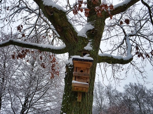 Wald