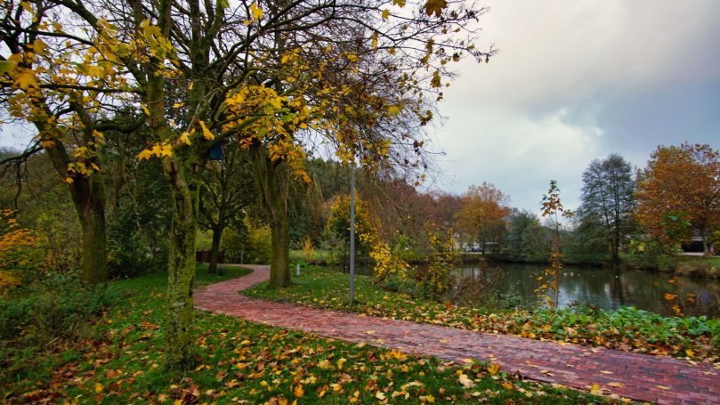 Herbst